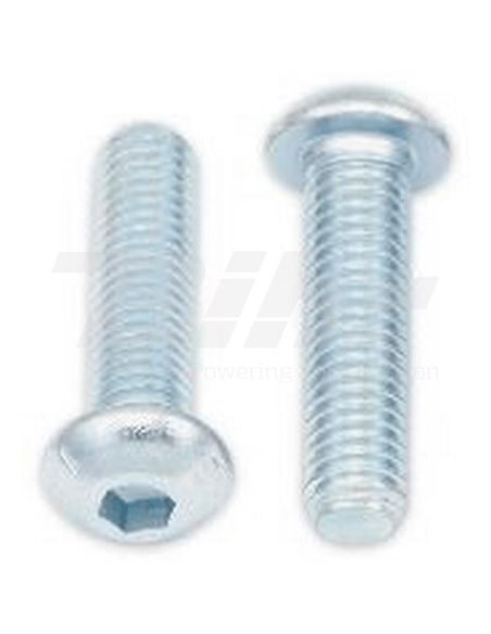Tornillo ULS (cabeza pequeña) M8x30 (10 uds.) Bolt 024-40830