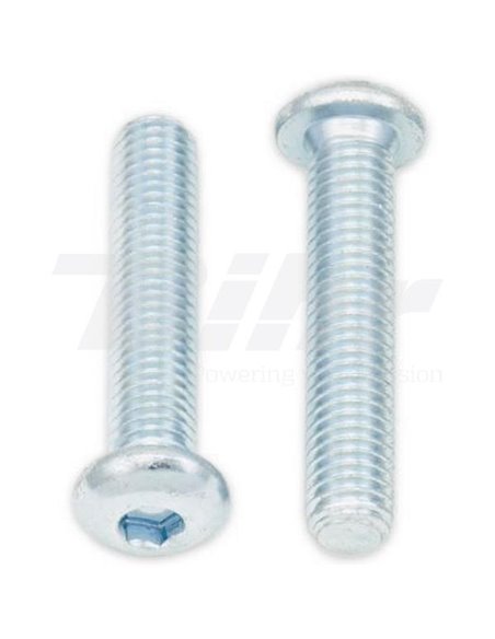 Tornillos cabeza redonda gruesa BOLT M8 x 1,25 x 40mm Bolt 024-40840