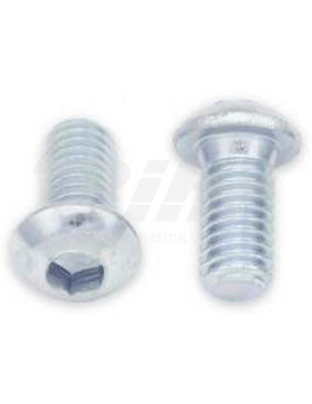 Tornillos cabeza redonda gruesa BOLT M6 x 1 x 12mm Bolt 024-40612