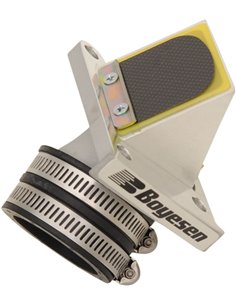 Válvula de palheta Boyesen RAD-40A