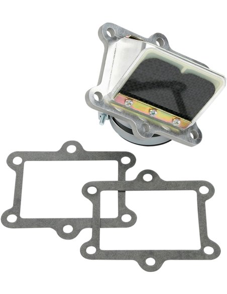 Soupape à clapets Boyesen RAD02D
