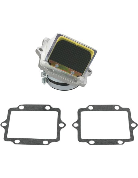 Caja de láminas Boyesen RAD11F