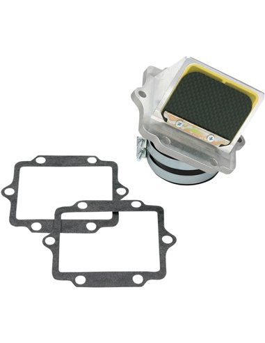 Soupape à clapets Boyesen RAD11G