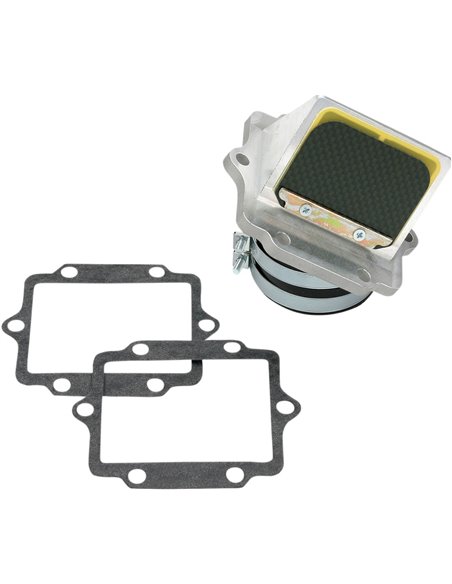 Soupape à clapets Boyesen RAD11G