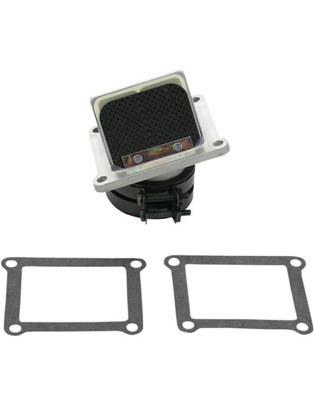 RAD VALVE CARBON FIBER BOYESEN RAD21D