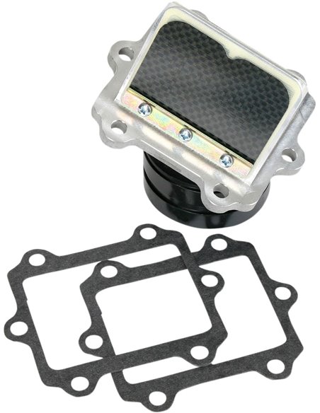 Caja de láminas Boyesen RAD24A