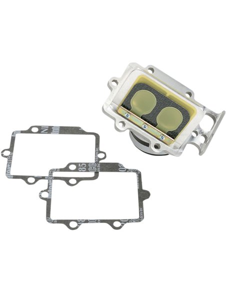 Soupape à clapets Boyesen RAD-24I