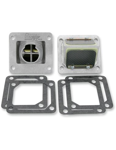 Válvula de palheta Boyesen RAD-36A