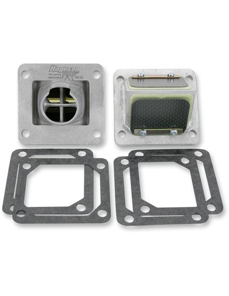 Caja de láminas Boyesen RAD-36A