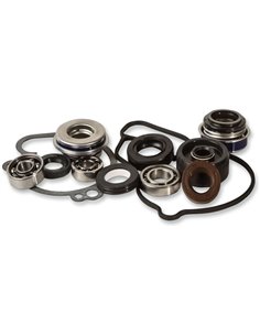 Kit de réparation de pompe à eau Hot Rods WPK0043