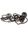 Hot Rods water pump repair kit WPK0043