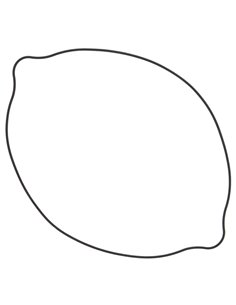 Winderosa clutch cover gasket 817471