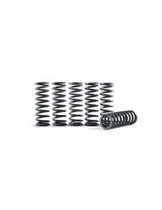 HINSON Clutch Springs for Honda