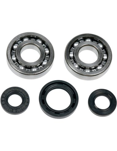 Kit roulements et joints de vilebrequin ALL BALLS - MOOSE 24-1028