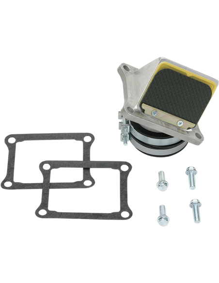 RAD VALVE CARBON FIBER BOYESEN RAD01E