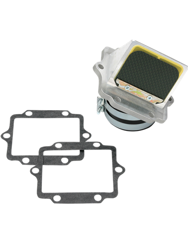 Caja de láminas Boyesen RAD11G