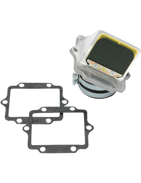 Caja de láminas Boyesen RAD11G