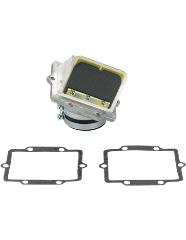 Caja de láminas Boyesen RAD12C