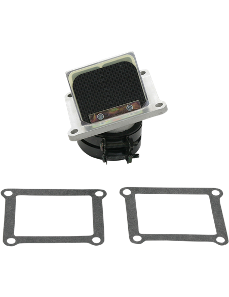 Caja de láminas Boyesen RAD21D