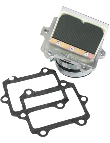 RAD VALVE CARBON FIBER BOYESEN RAD24B
