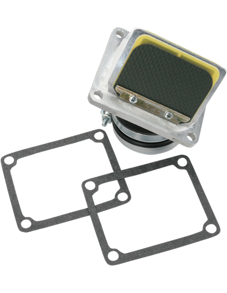 Válvula de palheta Boyesen RAD-33