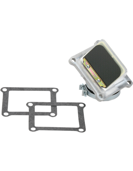 Caja de láminas Boyesen RAD33E