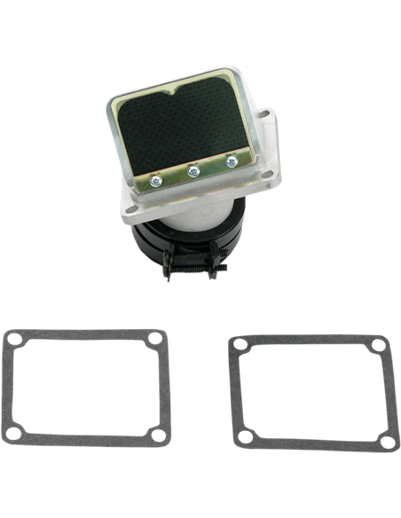 Caja de láminas Boyesen RAD34C