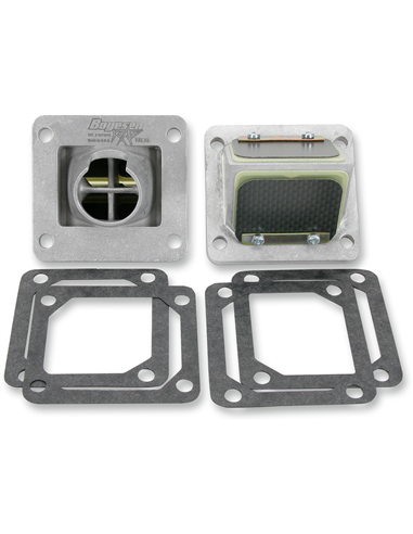 Soupape à clapets Boyesen RAD-36A