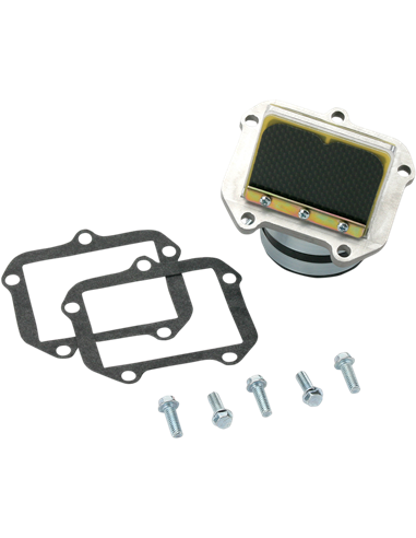 Válvula de palheta Boyesen RAD42B