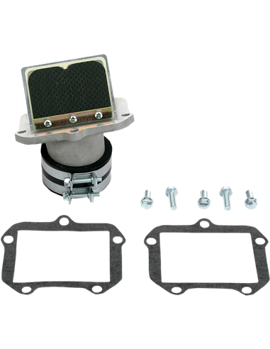 Válvula de palheta Boyesen RAD42X