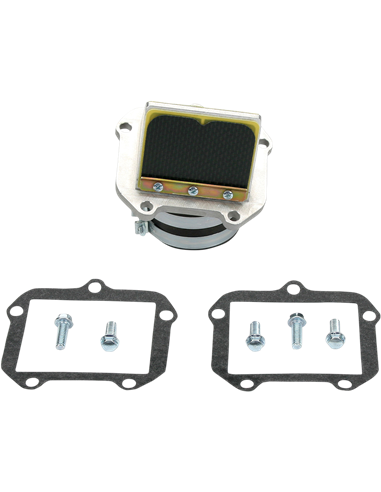 RAD VALVE CARBON FIBER BOYESEN RAD45