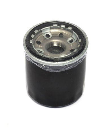 Filtre à huile Kawasaki / Honda / Yamaha Athena Ffp008