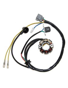 STATOR / w Lightning Coil Kawasaki KX250F / Suzuki RM-Z250 ESL730