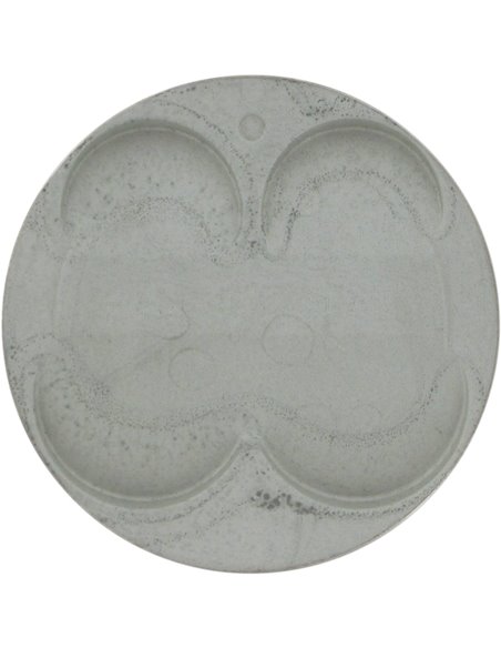 Pistão Forjado ProX 76,96Mm A 01.4337.A