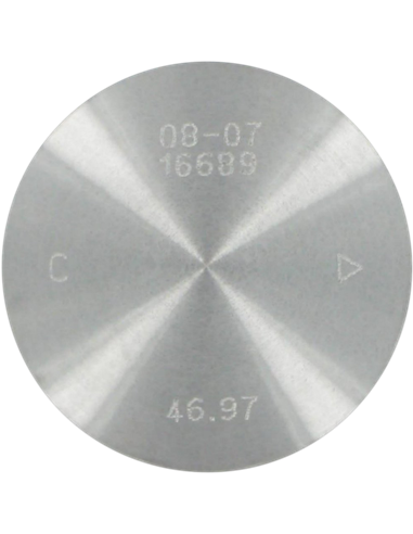 Pistão de alumínio ProX 46,97Mm C 01.6105.C