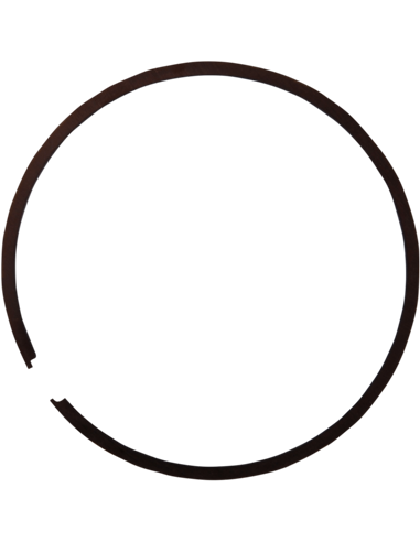 Piston Ring Set For Cast-Lite Pistons Athena S41316157