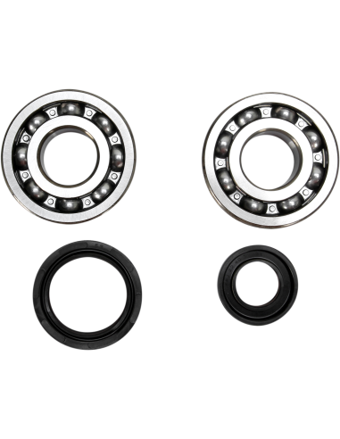 Kit de rodaments i retens de cigonyal Prox 23.CBS23088