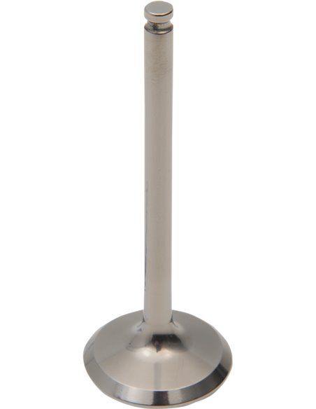 ProX steel valve Ø22.50 length 79.90 Ø neck 4.50 28.1227-1