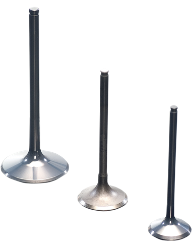 ProX Exhaust Valve Titanium 2824011