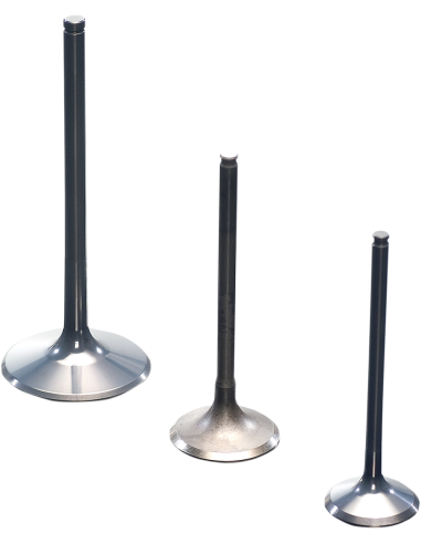 Válvula de escape ProX de titanio 2834061