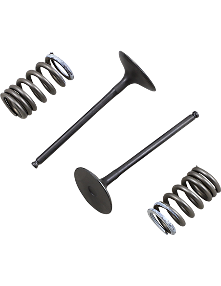 ProX Valve And Spring Intake Kit 28SIS33382
