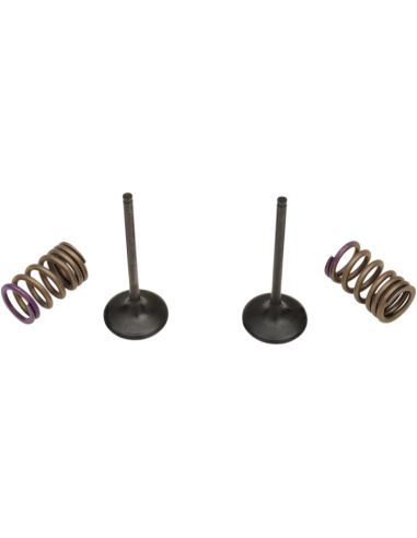 Kit ressort et soupape d'admission SIS4338-2 ProX 28