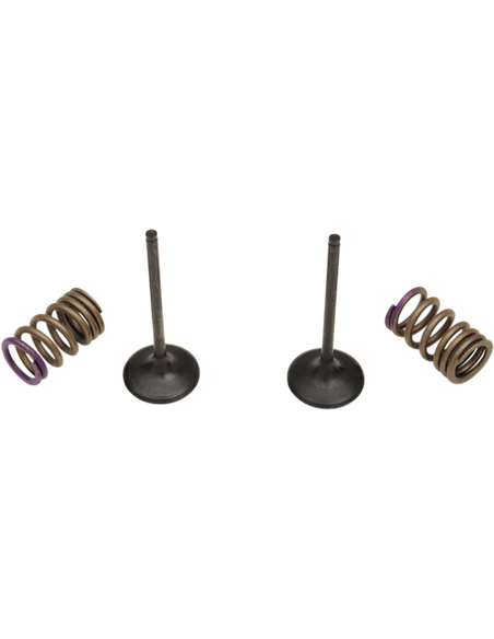 Kit ressort et soupape d'admission SIS4338-2 ProX 28