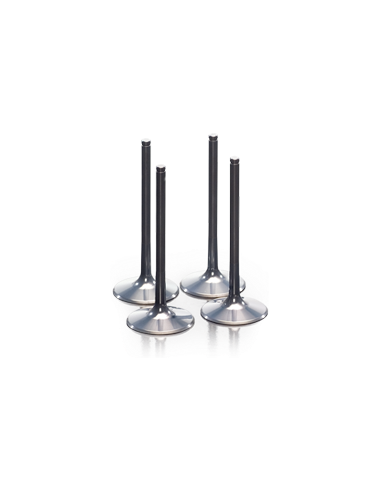 Válvula de admissão de titânio ProX 28.6333-2