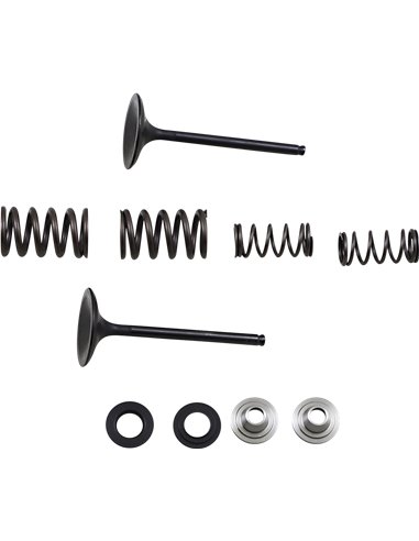 Kit de muelle y válvula de admisión de acero inoxidable Kx450F Moose Racing Hp M40-40360