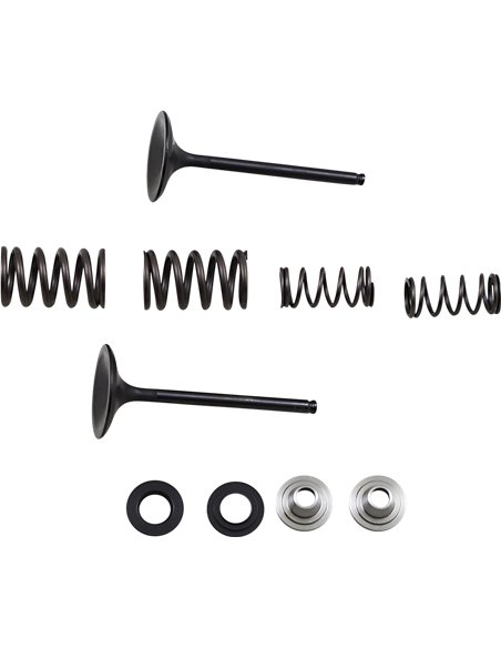 Kit de muelle y válvula de admisión de acero inoxidable Kx450F Moose Racing Hp M40-40360