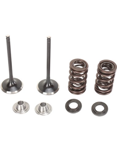 Kx450F Moose Racing Hp M40-40380 Stainless Steel Intake Valve & Spring Kit