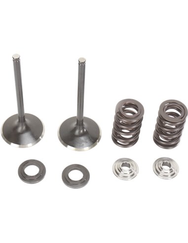 Rmz450 Moose Racing Hp M60-60460 Stainless Steel Intake Valve & Spring Kit