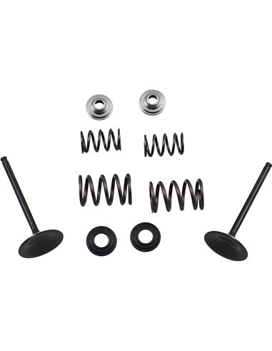 Kit de muelle y válvula de admisión de acero inoxidable Ltr450 Moose Racing Hp M60-60850