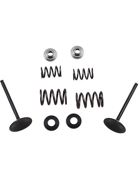 Válvula de admissão de aço inoxidável Ltr450 Moose Racing Hp M60-60850 e kit de mola